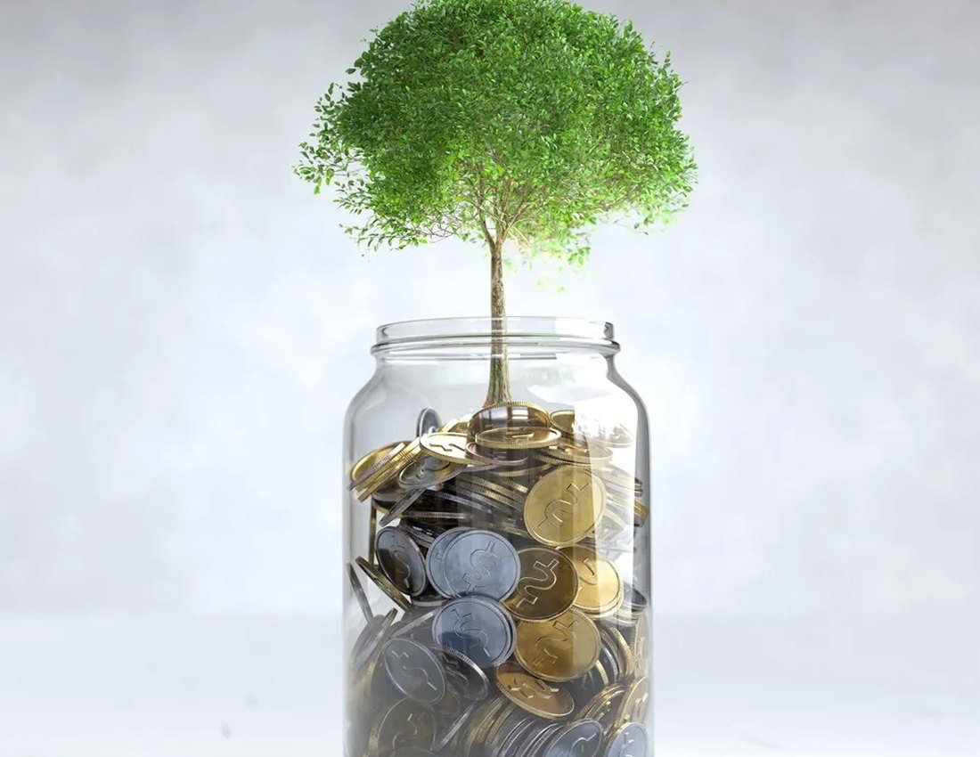 Fixed Deposits